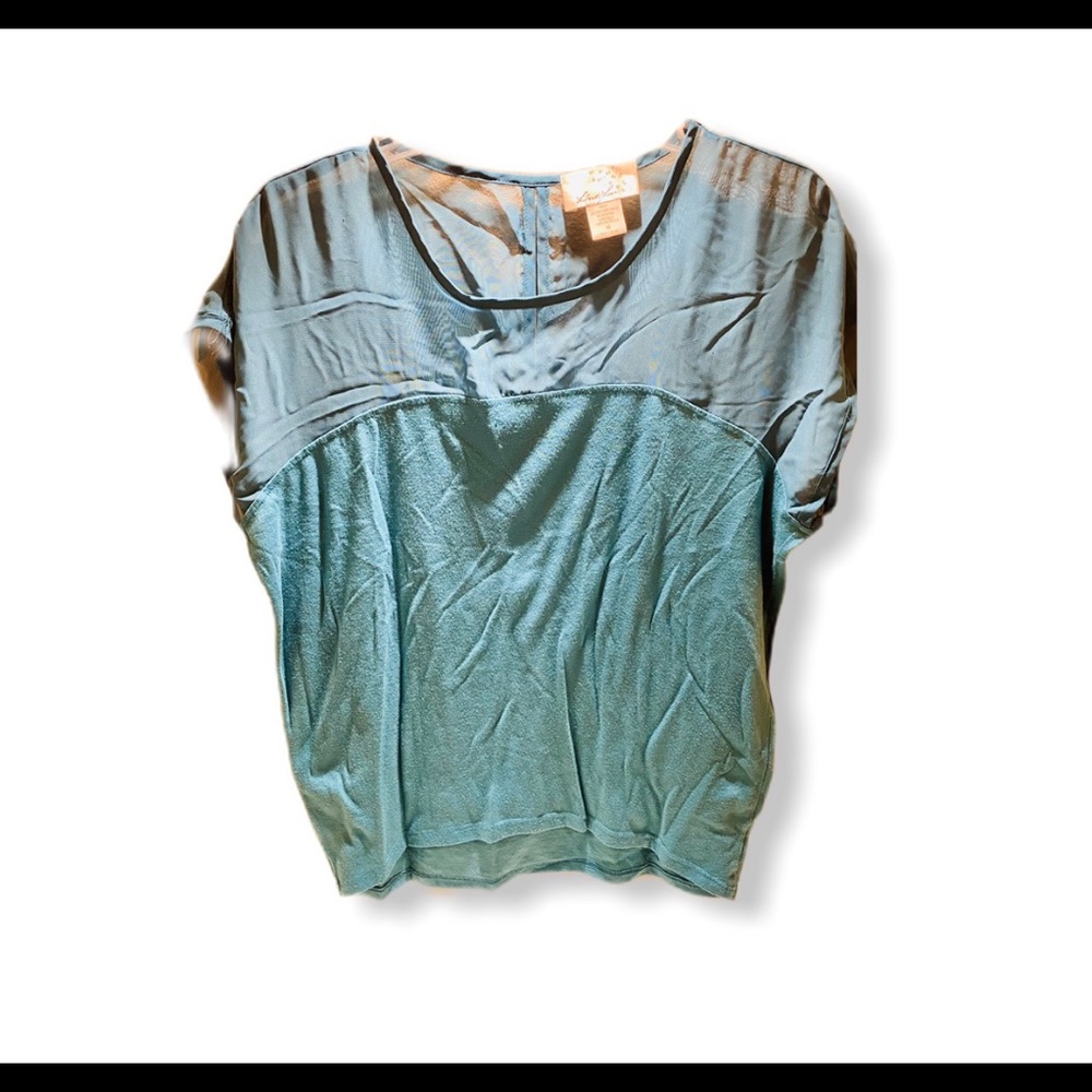 Teal sheer blouse